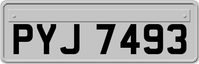 PYJ7493