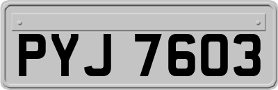 PYJ7603