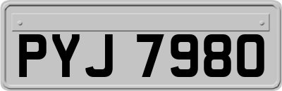 PYJ7980