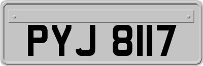 PYJ8117