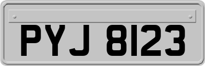 PYJ8123