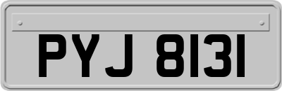 PYJ8131