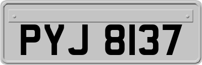 PYJ8137