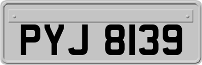 PYJ8139