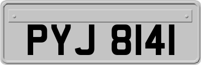 PYJ8141