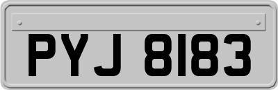 PYJ8183