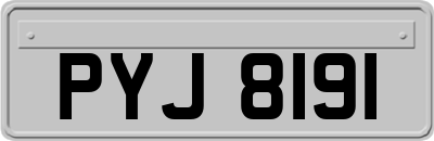 PYJ8191