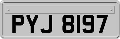 PYJ8197