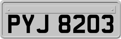 PYJ8203