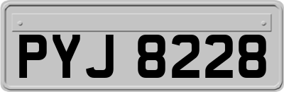 PYJ8228