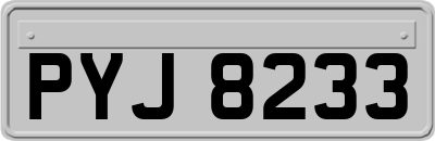 PYJ8233