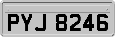 PYJ8246