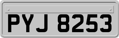 PYJ8253