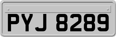 PYJ8289