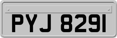 PYJ8291