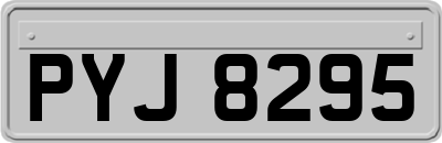 PYJ8295