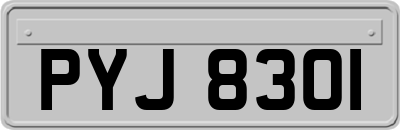 PYJ8301