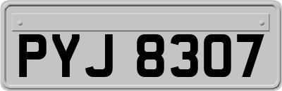 PYJ8307