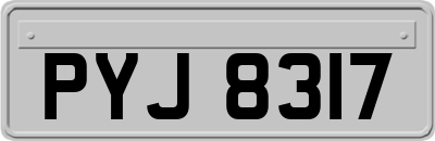 PYJ8317