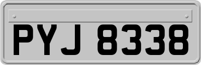 PYJ8338