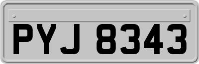 PYJ8343