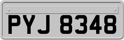 PYJ8348