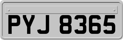 PYJ8365