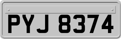 PYJ8374