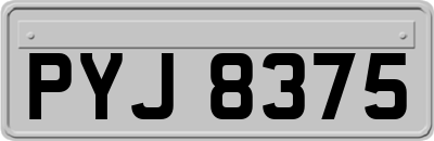 PYJ8375