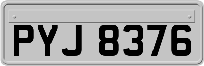 PYJ8376