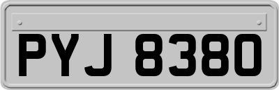 PYJ8380