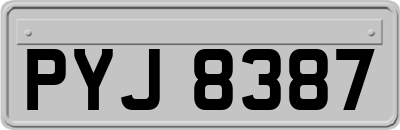 PYJ8387