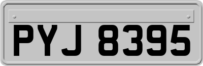 PYJ8395