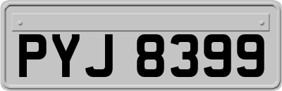 PYJ8399