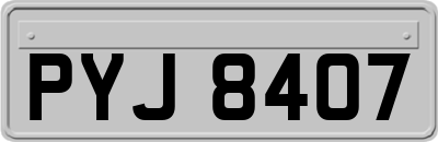 PYJ8407