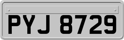 PYJ8729