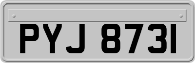 PYJ8731