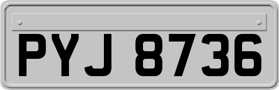 PYJ8736