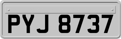 PYJ8737