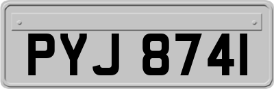 PYJ8741