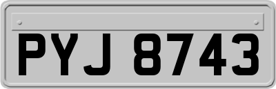 PYJ8743