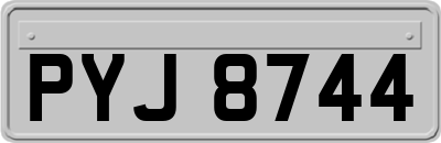 PYJ8744