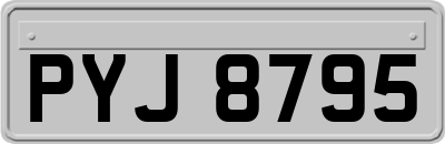 PYJ8795