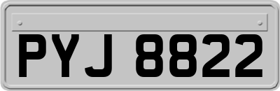 PYJ8822