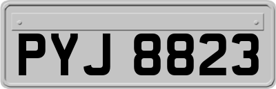 PYJ8823