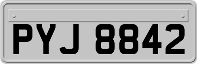 PYJ8842