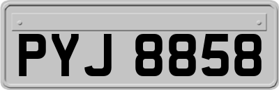 PYJ8858