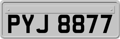 PYJ8877