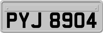 PYJ8904