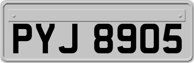 PYJ8905